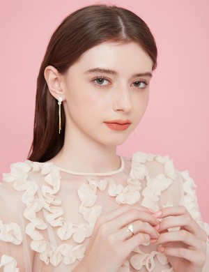 Earrings•  Hot Air Balloon collection Hot Air Balloon Fall Earrings